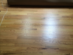 floors (3)